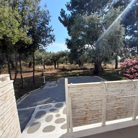 Orama Thassos Hotel Skala Sotiros Luaran gambar
